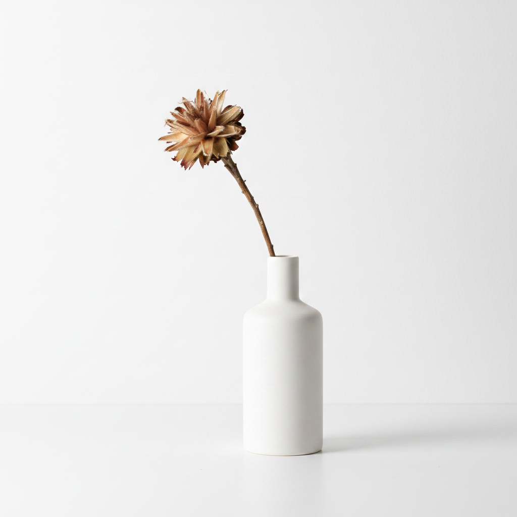 Plumosum natur – přírodní sušená květina pro jemné a vzdušné aranžmá